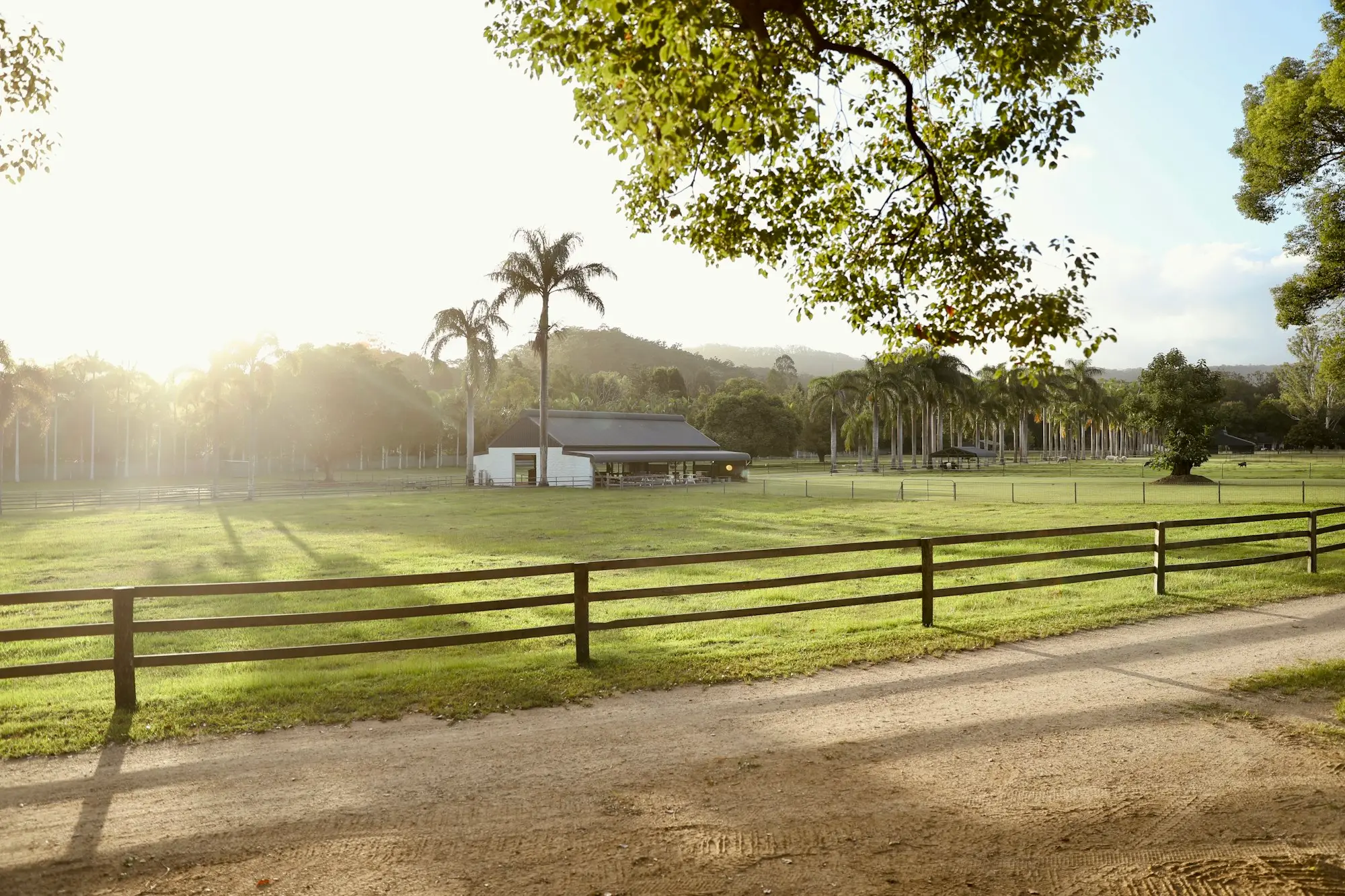 Sunlit acreage block with post-and-rail fencing, green paddocks and a small stable shed among palms and gum trees