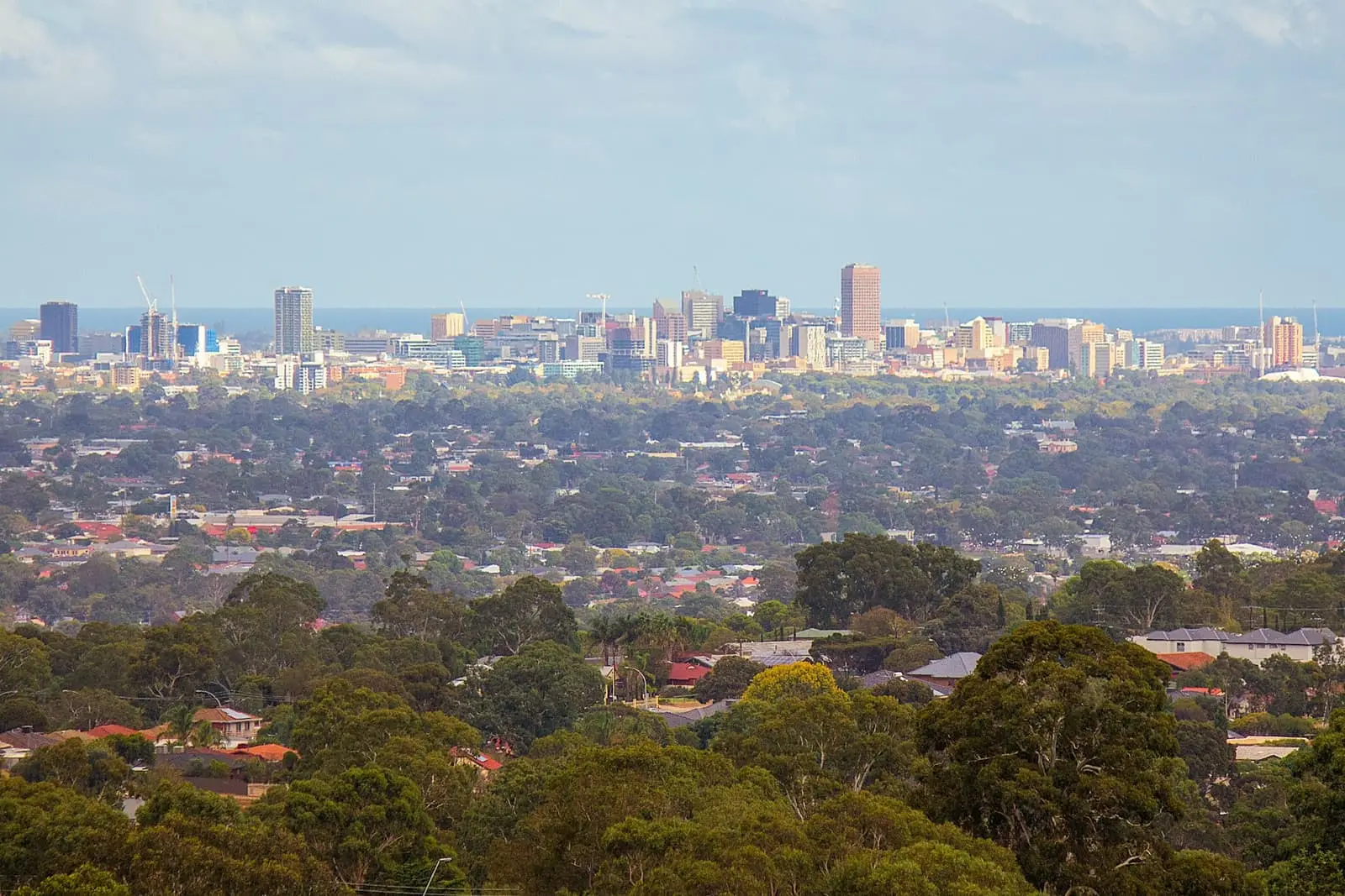 View over Adelaide city and green parklands from a hill