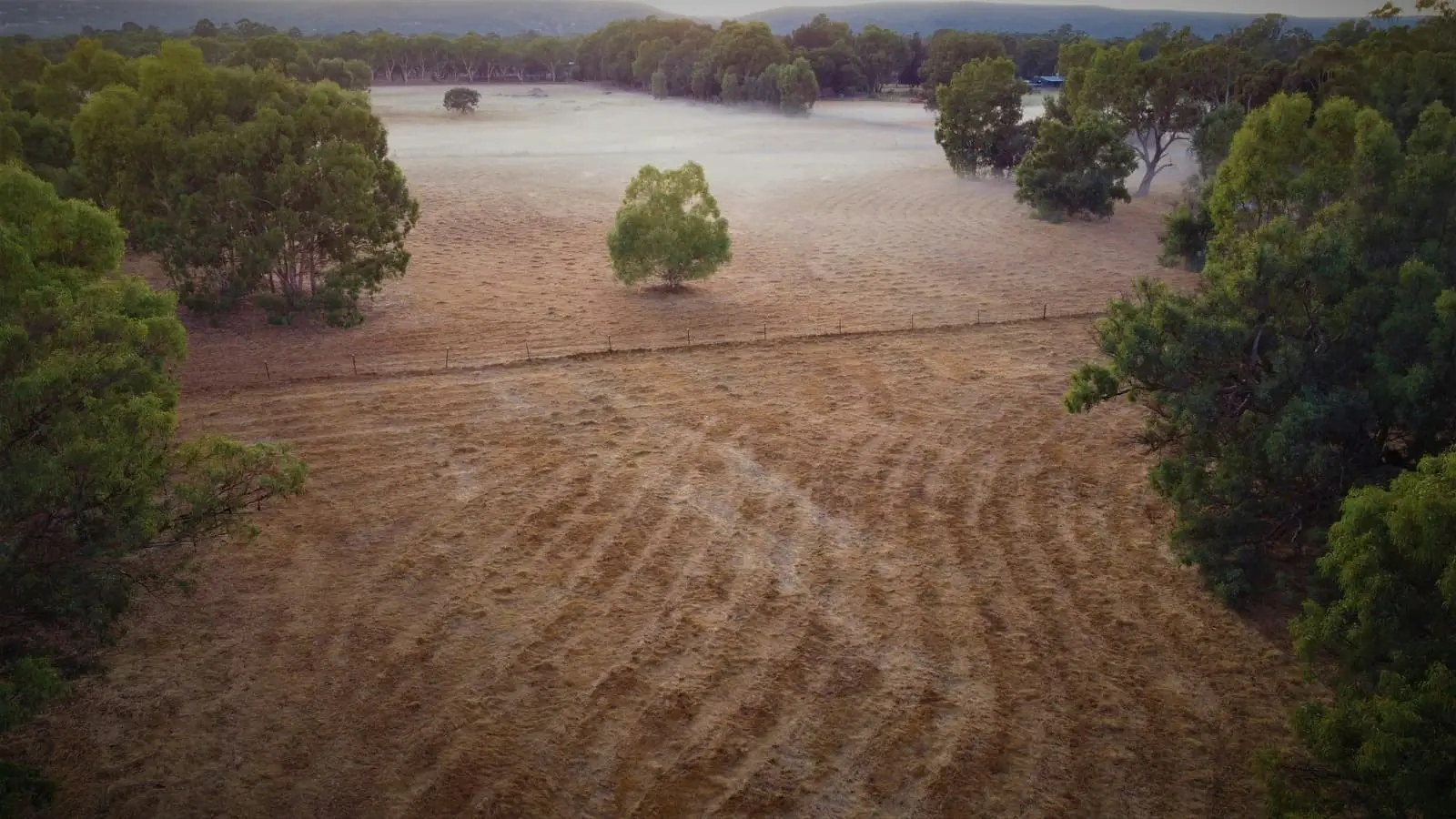 Aerial view of ploughed paddocks with low mist and trees in the background