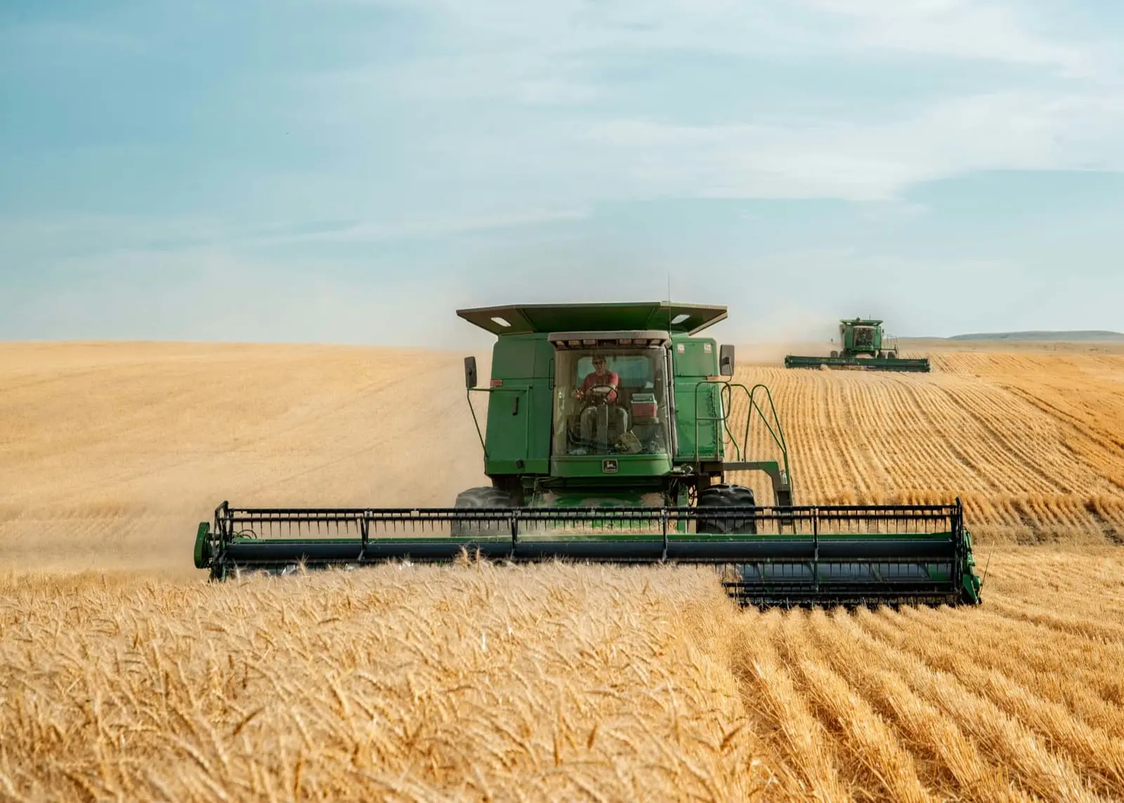 Header harvester cutting golden wheat on an Australian farm
