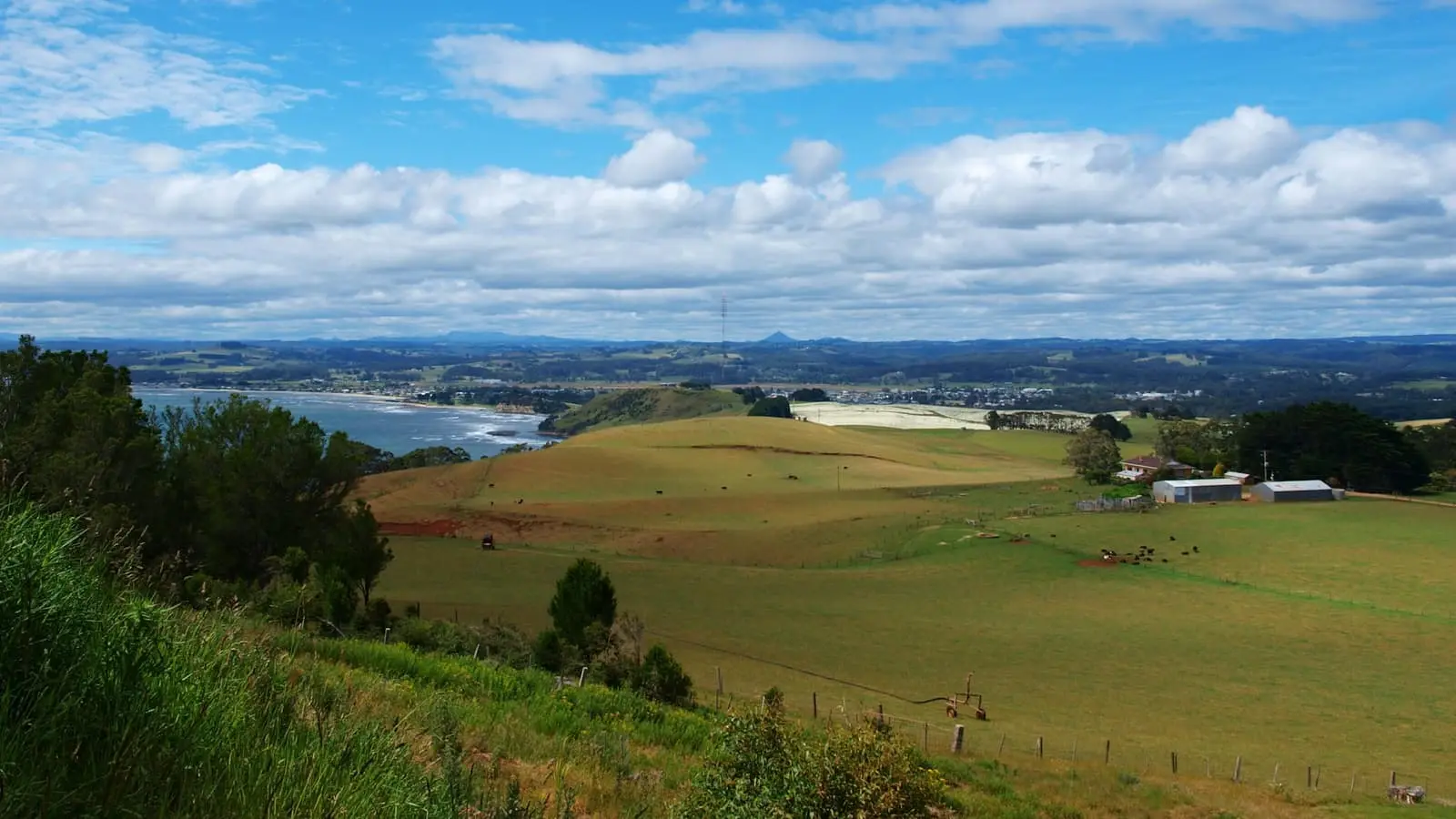 Lush green hillside farmland with the sea in the distance at Table Cape, Tasmania